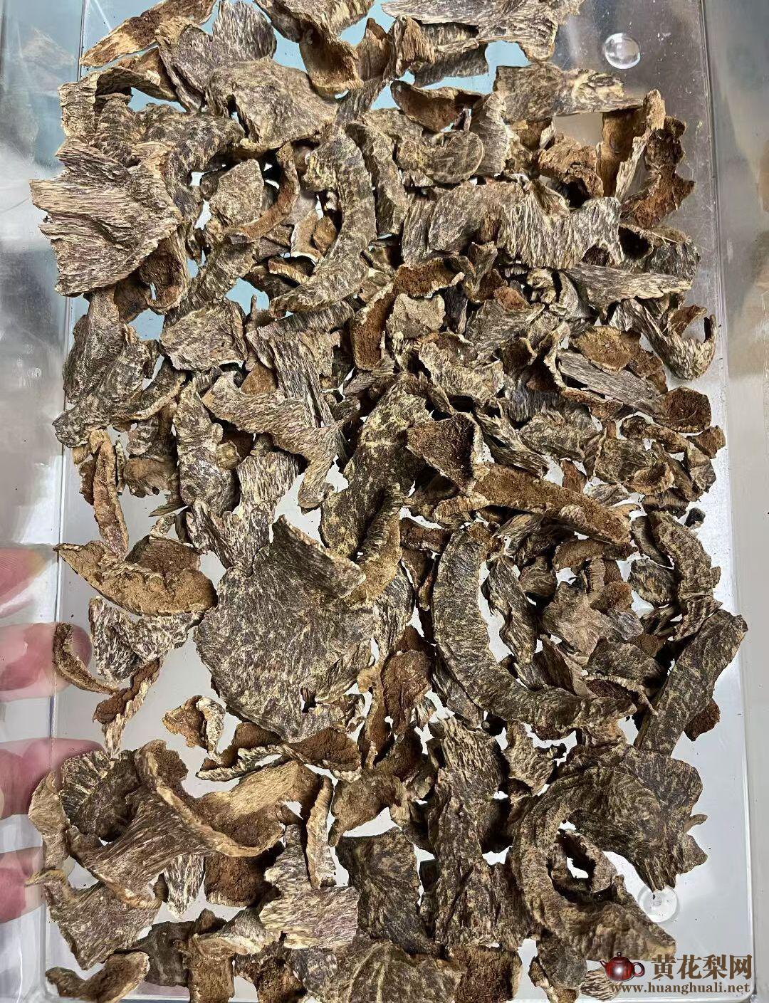 电白沉香：乱象治理与产业升级双轨并行